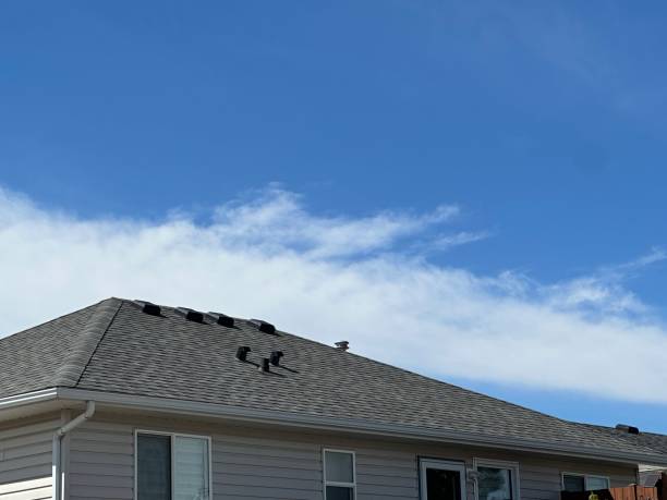 Best Sheet Metal Roofing  in Yarrow Point, WA